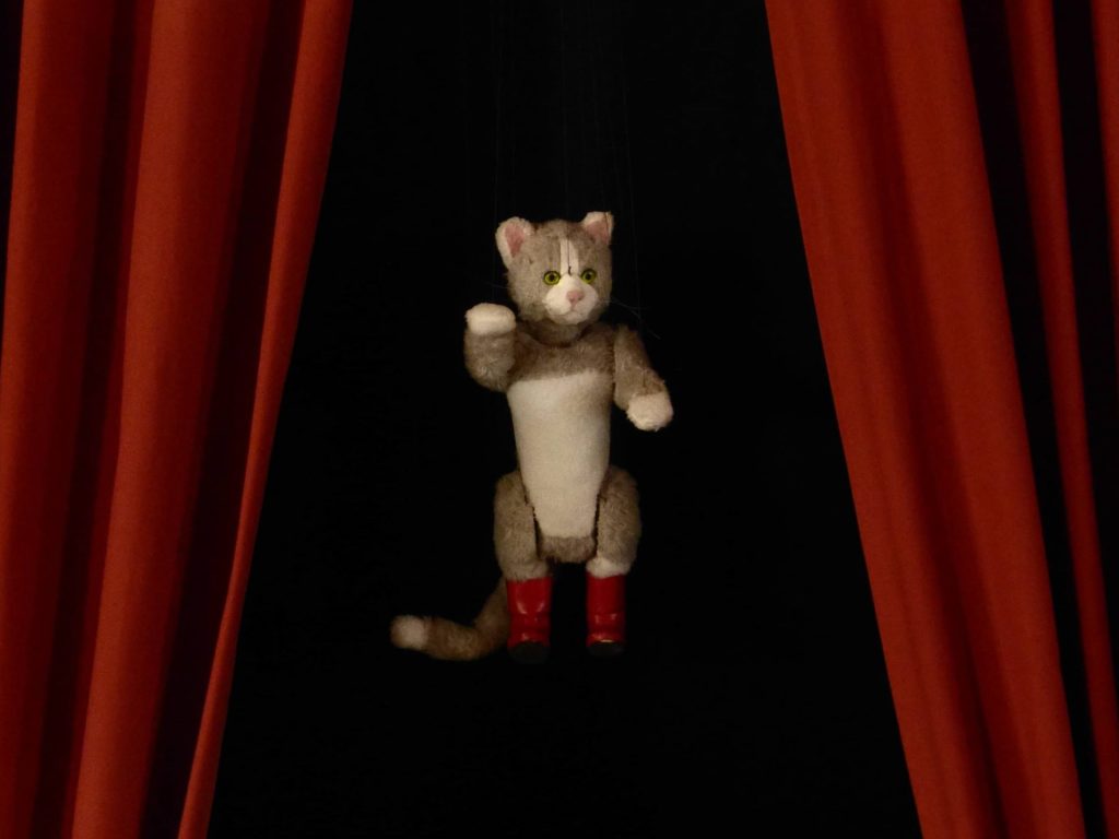 Kater