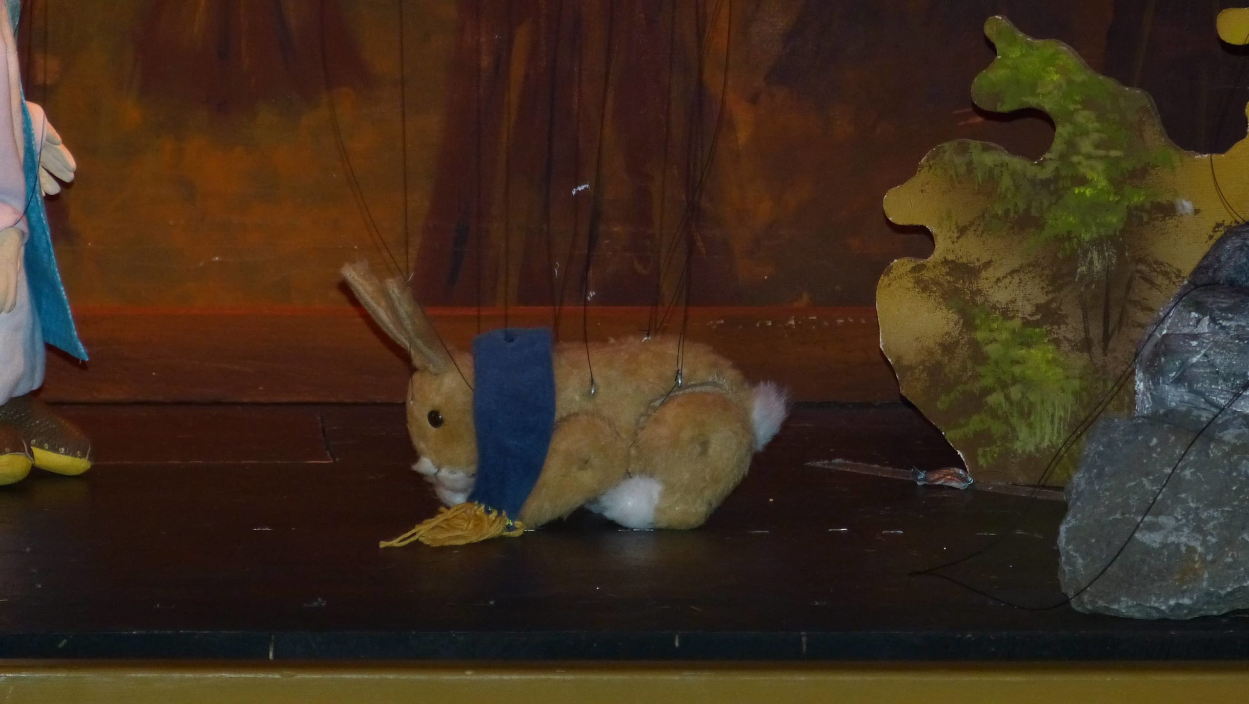 Hase Hase